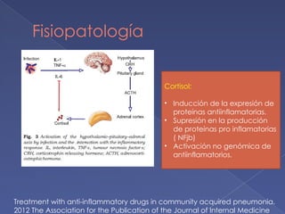 Fisiopatología
Treatment with anti-inflammatory drugs in community acquired pneumonia.
2012 The Association for the Publication of the Journal of Internal Medicine
Cortisol:
• Inducción de la expresión de
proteínas antiinflamatorias.
• Supresión en la producción
de proteínas pro inflamatorias
( NFjb)
• Activación no genómica de
antiinflamatorios.
 