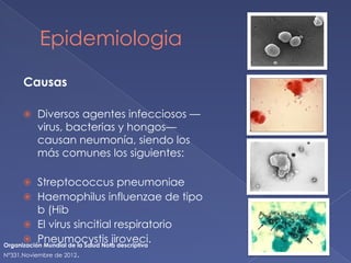 Epidemiologia
Causas
⦿ Diversos agentes infecciosos —
virus, bacterias y hongos—
causan neumonía, siendo los
más comunes los siguientes:
⦿ Streptococcus pneumoniae
⦿ Haemophilus influenzae de tipo
b (Hib
⦿ El virus sincitial respiratorio
⦿ Pneumocystis jiroveci.
Organización Mundial de la Salud Nota descriptiva
N°331.Noviembre de 2012.
 