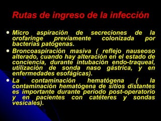 Rutas de ingreso de la infección Micro aspiración de secreciones de la orofaringe previamente colonizada por bacterias patógenas. Broncoaspiración masiva ( reflejo nauseoso alterado, cuando hay alteración en el estado de conciencia, durante intubación endo-traqueal, utilización de sonda naso gástrica, y en enfermedades esofágicas). La contaminación hematógena ( la contaminación hematógena de sitios distantes es importante durante período post-operatorio y en pacientes con catéteres y sondas vesicales).  