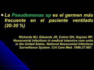 La  Pseudomonas sp  es el germen más frecuente en el paciente ventilado (20-30 %)  Richards MJ, Edwards JR, Culver DH, Gaynes RP. Nosocomial infections in medical intensive care units in the United States. National Nosocomial Infections Surveillance System. Crit Care Med. 1999;27:887.  