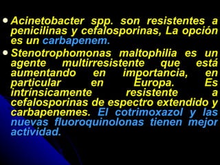 Acinetobacter spp. son resistentes a penicilinas y cefalosporinas, La opción es un  carbapenem. Stenotrophomonas maltophilia es un agente multirresistente que está aumentando en importancia, en particular en Europa. Es intrínsicamente resistente a cefalosporinas de espectro extendido y carbapenemes.  El cotrimoxazol y las nuevas fluoroquinolonas tienen mejor actividad. 
