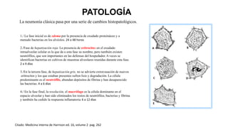 1./ La fase inicial es de edema por la presencia de exudado proteináceo y a
menudo bacterias en los alvéolos. 24 a 48 horas
2./Fase de hepatización roja. La presencia de eritrocitos en el exudado
intraalveolar celular es la que da a esta fase su nombre, pero también existen
neutrófilos, que son importantes en las defensas del hospedador. A veces se
identifican bacterias en cultivos de muestras alveolares reunidas durante esta fase.
2 a 4 días
3./En la tercera fase, de hepatización gris, no se advierte extravasación de nuevos
eritrocitos y los que estaban presentes sufren lisis y degradación. La célula
predominante es el neutrófilo, abundan depósitos de fibrina y han desaparecido
las bacterias. 4 a 6 días
4./ En la fase final, la resolución, el macrófago es la célula dominante en el
espacio alveolar y han sido eliminados los restos de neutrófilos, bacterias y fibrina
y también ha cedido la respuesta inflamatoria. 6 a 12 días
PATOLOGÍA
La neumonía clásica pasa por una serie de cambios histopatológicos.
Citado: Medicina interna de Harrison ed. 16, volume 2 pag. 262
 