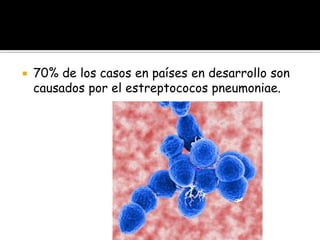    70% de los casos en países en desarrollo son
    causados por el estreptococos pneumoniae.
 