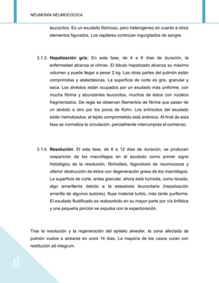 NEUMONÍA NEUMOCOCICA
8
leucocitos. Es un exudado fibrinoso, pero heterogéneo en cuanto a otros
elementos figurados. Los capilares continúan ingurgitados de sangre.
3.1.3. Hepatización gris: En esta fase, de 4 a 6 días de duración, la
enfermedad alcanza el clímax. El lóbulo hepatizado alcanza su máximo
volumen y puede llegar a pesar 2 kg. Las otras partes del pulmón están
comprimidas y atelectásicas. La superficie de corte es gris, granular y
seca. Los alvéolos están ocupados por un exudado más uniforme, con
mucha fibrina y abundantes leucocitos, muchos de éstos con núcleos
fragmentados. De regla se observan filamentos de fibrina que pasan de
un alvéolo a otro por los poros de Kohn. Los eritrocitos del exudado
están hemolizados; el tejido comprometido está anémico. Al final de esta
fase se normaliza la circulación, parcialmente interrumpida al comienzo.
3.1.4. Resolución: El esta fase, de 6 a 12 días de duración, se producen
reaparición de los macrófagos en el exudado como primer signo
histológico de la resolución, fibrinolisis, fagocitosis de neumococos y
ulterior destrucción de éstos con degeneración grasa de los macrófagos.
La superficie de corte, antes granular, ahora está húmeda, como lavada,
algo amarillenta debido a la esteatosis leucocitaria (hepatización
amarilla de algunos autores), fluye material turbio, más tarde puriforme.
El exudado fluidificado es reabsorbido en su mayor parte por vía linfática
y una pequeña porción se expulsa con la expectoración.
Tras la resolución y la regeneración del epitelio alveolar, la zona afectada de
pulmón vuelve a airearse en unos 14 días. La mayoría de los casos curan con
restitución ad integrum.
 