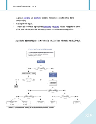 NEUMONÍA NEUMOCOCICA
xiv
 Agregar acetona y/o alcohol y esperar 4 segundos (parte critica de la
coloracion)
 Enjuagar con agua.
 Tinción de contraste agregando safranina o fucsina básica y esperar 1-2 min
Este tinte dejará de color rosado-rojizo las bacterias Gram negativas.
Algoritmo del manejo de la Neumonía en Atención Primaria PEDIATRICA
 