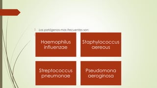  Los patógenos mas frecuentes son:

 