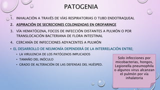 PATOGENIA
1. INHALACIÓN A TRAVÉS DE VÍAS RESPIRATORIAS O TUBO ENDOTRAQUEAL
2. ASPIRACIÓN DE SECRECIONES COLONIZADAS EN OROFARINGE
3. VÍA HEMATÓGENA, FOCOS DE INFECCIÓN DISTANTES A PULMÓN O POR
TRANSLOCACIÓN BACTERIANA DE FLORA INTESTINAL
4. CERCANÍA DE INFECCIONES ADYACENTES A PULMÓN
• EL DESARROLLO DE NEUMONÍA DEPENDERÁ DE LA INTERRELACIÓN ENTRE;
• LA VIRULENCIA DE LOS PATÓGENOS IMPLICADOS
• TAMAÑO DEL INÓCULO
• GRADO DE ALTERACIÓN DE LAS DEFENSAS DEL HUÉSPED.
Solo infecciones por
micobacterias, hongos,
Legionella pneumophila
o algunos virus alcanzan
el pulmón por vía
inhalatoria
 