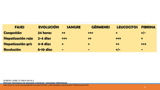 FASES EVOLUCIÓN SANGRE GÉRMENES LEUCOCITOS FIBRINA
Congestión 24 horas ++ +++ + +/-
Hepatización roja 2-4 días +++ ++ +++ +
Hepatización gris 4-8 días + + ++ +++
Resolución 8-10 días - - +/- -
ROMERO URIBE OLYMPIA NATALY
Patrones histológicos de respuesta a bacterias: respuestas inflamatorias
http://www10.uniovi.es/anatopatodon/modulo7/tema01_enfermedades_bacterianas/011Neumococos.htm
10
 