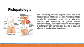 Fisiopatología
Los microorganismos llegan hasta las vías
respiratorias inferiores al ser microaspirados
desde la orofaringe (esta es la vía mas
común), por inhalación de gotitas aéreas
contaminadas, por diseminación hematógena
o extensión por contiguidad desde el espacio
pleural o mediastinal infectado.
ROMERO URIBE OLYMPIA NATALY
Dan L. Longo. Anthony S. Fauci. HARRISON. MANUAL DE MEDICINA. 18° e Ed. México: F.McGRAW-HILL INTERAMERICANA EDITORES; 2013.
7
 