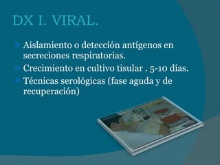 DX I. VIRAL. Aislamiento o detección antígenos en secreciones respiratorias. Crecimiento en cultivo tisular . 5-10 días. Técnicas serológicas (fase aguda y de recuperación) 