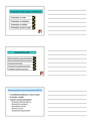 Neumonías de las especies domésticas


   Neumonías en cerdo

   Neumonías en rumiantes
   Neumonías en caballo
   Neumonías en perro y gato




          Neumonías del cerdo


Bronconeumonía catarral -purulenta
Pleuroneumonía fibrino-necrotizante
Neumonía intersticial
Neumonía bronquiolo-intersticial
Complejo respiratorio porcino




Bronconeumonía catarral-purulenta (BNCP)

• Consolidación pulmonar craneo-ventral
• Extensión variable
• Agentes causales principales:
   –   Pasteurella multocida (tipo A)
   –   Bordetella bronchiseptica
   –   Haemophilus parasuis
   –   Streptococcus suis
   –   Mycoplasma hyopneumoniae




                                           1
 