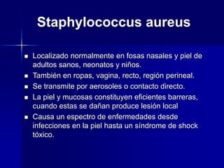 Staphylococcus aureus
 Localizado normalmente en fosas nasales y piel de
adultos sanos, neonatos y niños.
 También en ropas, vagina, recto, región perineal.
 Se transmite por aerosoles o contacto directo.
 La piel y mucosas constituyen eficientes barreras,
cuando estas se dañan produce lesión local
 Causa un espectro de enfermedades desde
infecciones en la piel hasta un síndrome de shock
tóxico.
 