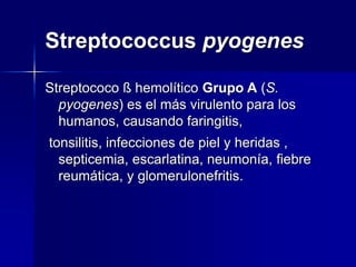 Streptococcus pyogenes
Streptococo ß hemolítico Grupo A (S.
pyogenes) es el más virulento para los
humanos, causando faringitis,
tonsilitis, infecciones de piel y heridas ,
septicemia, escarlatina, neumonía, fiebre
reumática, y glomerulonefritis.
 