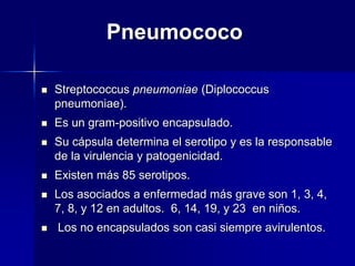 Pneumococo
 Streptococcus pneumoniae (Diplococcus
pneumoniae).
 Es un gram-positivo encapsulado.
 Su cápsula determina el serotipo y es la responsable
de la virulencia y patogenicidad.
 Existen más 85 serotipos.
 Los asociados a enfermedad más grave son 1, 3, 4,
7, 8, y 12 en adultos. 6, 14, 19, y 23 en niños.
 Los no encapsulados son casi siempre avirulentos.
 