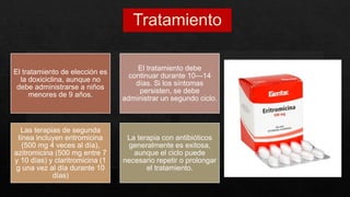 El tratamiento de elección es
la doxiciclina, aunque no
debe administrarse a niños
menores de 9 años.
El tratamiento debe
continuar durante 10---14
días. Si los síntomas
persisten, se debe
administrar un segundo ciclo.
Las terapias de segunda
línea incluyen eritromicina
(500 mg 4 veces al día),
azitromicina (500 mg entre 7
y 10 días) y claritromicina (1
g una vez al día durante 10
días)
La terapia con antibióticos
generalmente es exitosa,
aunque el ciclo puede
necesario repetir o prolongar
el tratamiento.
 