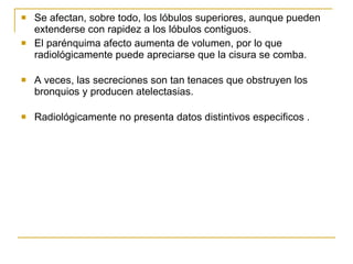 Se afectan, sobre todo, los lóbulos superiores, aunque pueden extenderse con rapidez a los lóbulos contiguos.  El parénquima afecto aumenta de volumen, por lo que radiológicamente puede apreciarse que la cisura se comba. A veces, las secreciones son tan tenaces que obstruyen los bronquios y producen atelectasias. Radiológicamente no presenta datos distintivos especificos . 