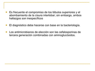 Es frecuente el compromiso de los lóbulos superiores y el abombamiento de la cisura interlobar; sin embargo, ambos hallazgos son inespecíficos El diagnóstico debe hacerse con base en la bacteriología. Los antimicrobianos de elección son las cefalosporinas de tercera generación combinadas con aminoglucósidos. 