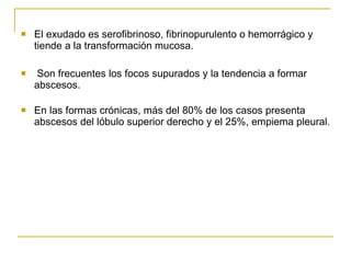 El exudado es serofibrinoso, fibrinopurulento o hemorrágico y tiende a la transformación mucosa. Son frecuentes los focos supurados y la tendencia a formar abscesos. En las formas crónicas, más del 80% de los casos presenta abscesos del lóbulo superior derecho y el 25%, empiema pleural. 