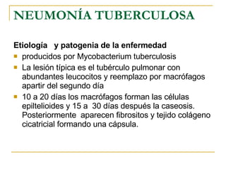 NEUMONÍA TUBERCULOSA Etiología  y patogenia de la enfermedad producidos por Mycobacterium tuberculosis La lesión típica es el tubérculo pulmonar con abundantes leucocitos y reemplazo por macrófagos apartir del segundo día 10 a 20 días los macrófagos forman las células epiltelioides y 15 a  30 días después la caseosis. Posteriormente  aparecen fibrositos y tejido colágeno cicatricial formando una cápsula. 