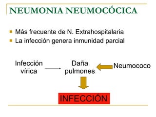 NEUMONIA NEUMOCÓCICA Más frecuente de N. Extrahospitalaria La infección genera inmunidad parcial Infección vírica Daña pulmones Neumococo INFECCIÓN 