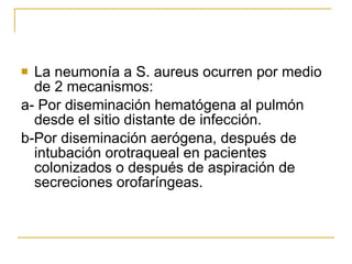 La neumonía a S. aureus ocurren por medio de 2 mecanismos:  a- Por diseminación hematógena al pulmón desde el sitio distante de infección.  b-Por diseminación aerógena, después de intubación orotraqueal en pacientes  colonizados o después de aspiración de secreciones orofaríngeas.  
