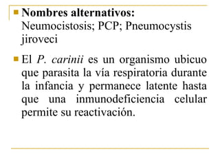 Nombres alternativos:  Neumocistosis; PCP; Pneumocystis jiroveci El  P. carinii  es un organismo ubicuo que parasita la vía respiratoria durante la infancia y permanece latente hasta que una inmunodeficiencia celular permite su reactivación.  