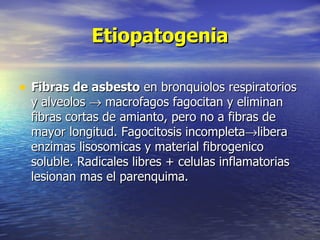 Etiopatogenia

• Fibras de asbesto en bronquiolos respiratorios
  y alveolos → macrofagos fagocitan y eliminan
  fibras cortas de amianto, pero no a fibras de
  mayor longitud. Fagocitosis incompleta→libera
  enzimas lisosomicas y material fibrogenico
  soluble. Radicales libres + celulas inflamatorias
  lesionan mas el parenquima.
 