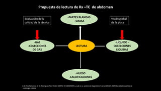 LECTURA
-PARTES BLANDAS
- GRASA
-HUESO
-CALCIFICACIONES
-GAS
-COLECCIONES
DE GAS
-LÍQUIDO -
COLECCIONES
LÍQUIDAS
A.M. Rocha García, C. M. Rodríguez Paz. PLACA SIMPLE DE ABDOMEN: ¿cuál es su potencial diagnóstico? seram2012/S-0349.Sociedad española de
radiología médica
Propuesta de lectura de Rx –TC de abdomen
Evaluación de la
calidad de la técnica
Visión global
de la placa
 