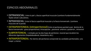 ESPACIOS ABDOMINALES
• EXTRAFASCIAL: Entre la piel y fascia superficial muscular (contiene fundamentalmente
Tejido celular subcutáneo.
• INTRAFASCIAL: Entre la fascia superficial muscular y la fascia transversalis (contiene
músculos de la pared)
• EXTRAPERITONEAL (retroperitoneal):Entre el peritoneo parietal y por dentro de la
fascia transversalis : grasa properitoneal, Intracapsular , pararenal anterior y posterior , intrarenal
• SUBPERITONEAL : Limitado por las dos hojas de peritoneo visceral que recubren los
diferentes ligamentos (hepatoduodenal, mesenterio, etc.)
• INTRAPERITONEAL: Por dentro del peritoneo comprende las cavidades peritoneales: una
mayor y menor.
 