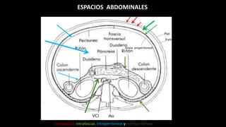 ESPACIOS ABDOMINALES
Extrafascial, Intrafascial, Intraperitoneal y retroperitoneal
Piel
Fsm
Grasa properitoneal
 