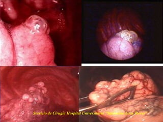 Servicio de Cirugía Hospital Universitario “Saturnino Lora Torres”
 