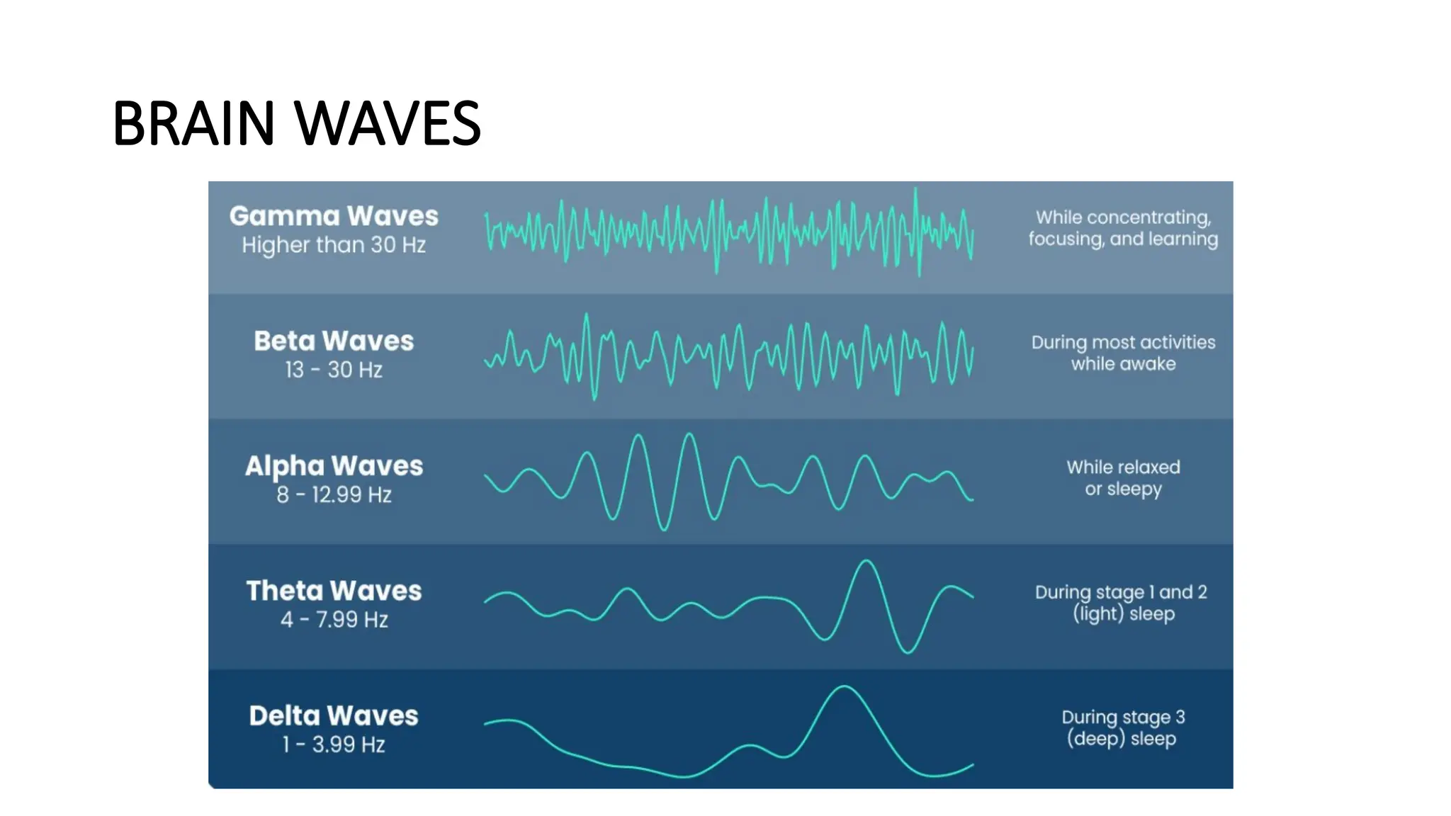 BRAIN WAVES
 