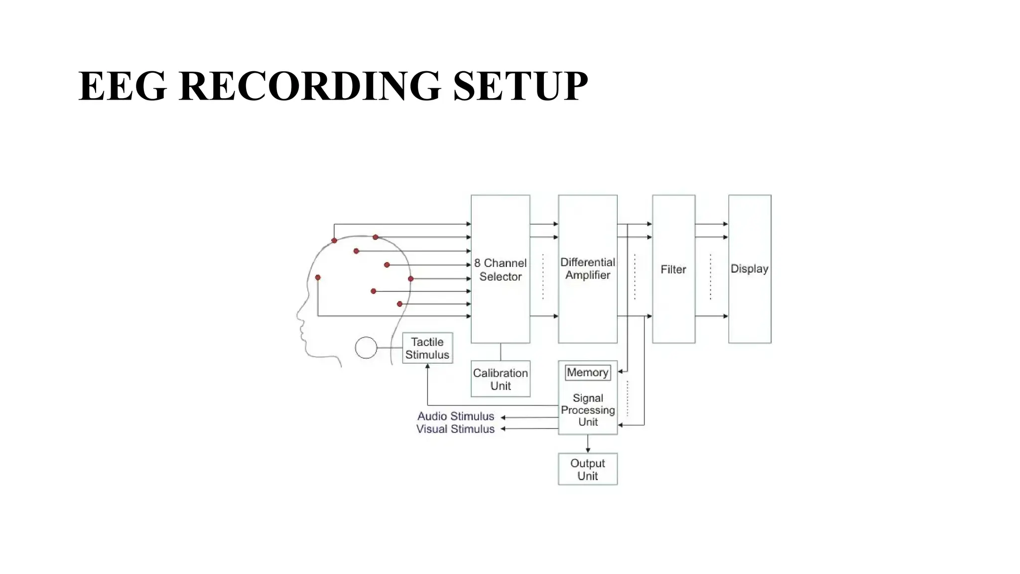 EEG RECORDING SETUP
 