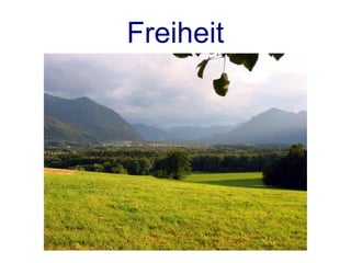Freiheit
 