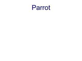 Parrot
 