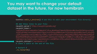 You may want to change your default
dataset in the future, for now hemibrain
Usethis::edit_r_environ() # use this to edit ...