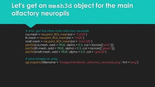 Let's get an mesh3d object for the main
olfactory neuropils
# And get the other main olfactory neuropils
ca.mesh = neuprin...