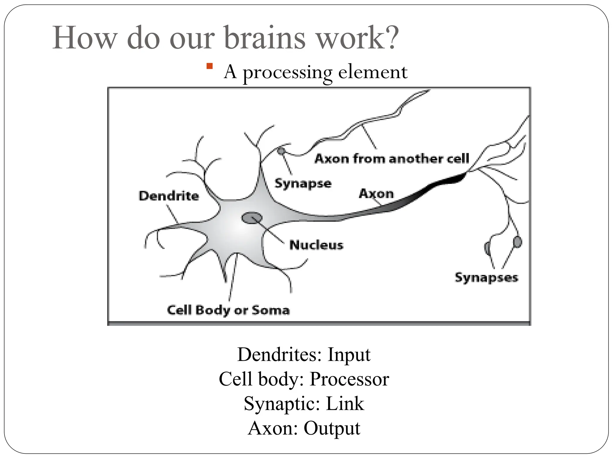 How do our brains work?
 A processing element
Dendrites: Input
Cell body: Processor
Synaptic: Link
Axon: Output
 