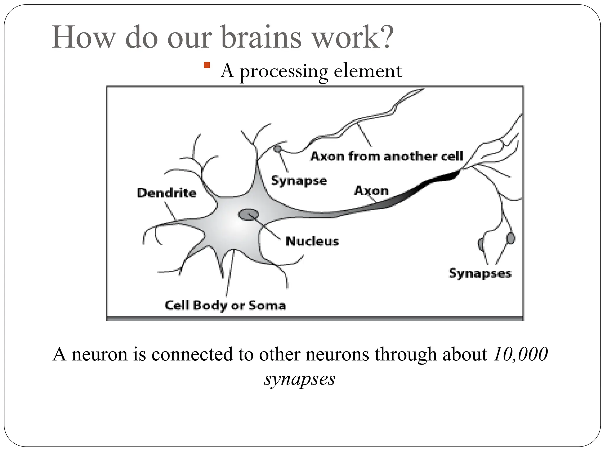 How do our brains work?
 A processing element
A neuron is connected to other neurons through about 10,000
synapses
 