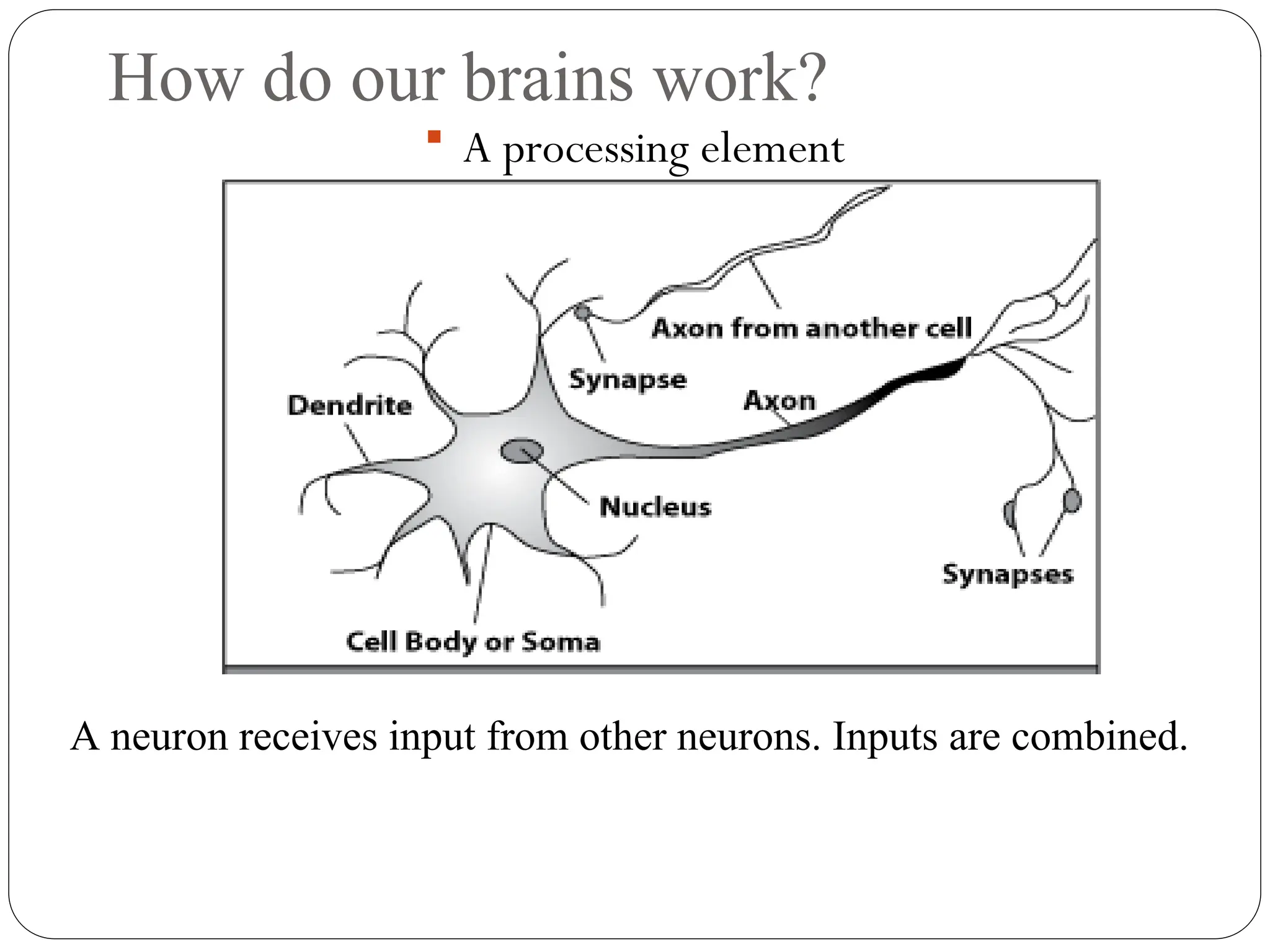 How do our brains work?
 A processing element
A neuron receives input from other neurons. Inputs are combined.
 