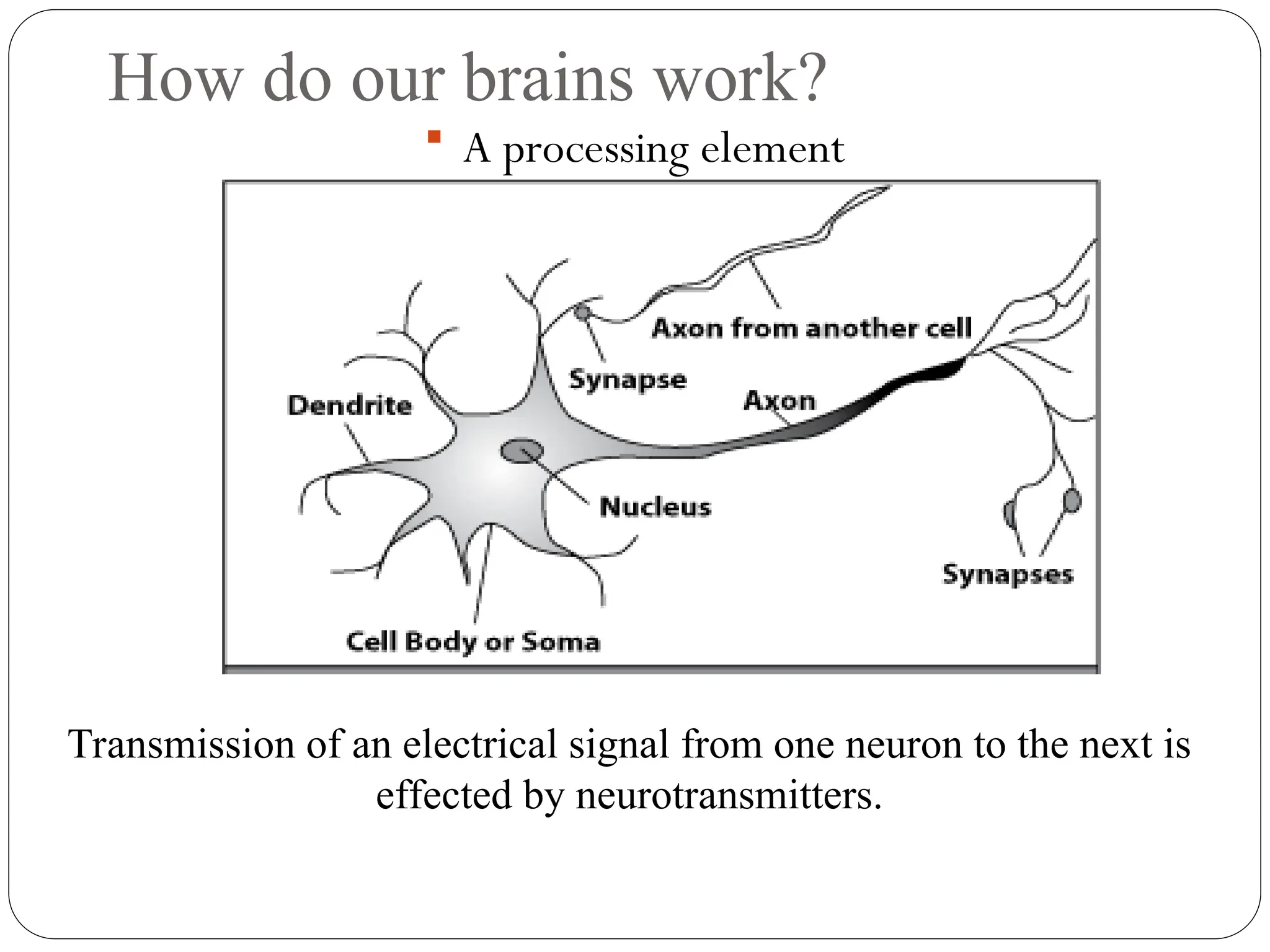 How do our brains work?
 A processing element
Transmission of an electrical signal from one neuron to the next is
effected by neurotransmitters.
 