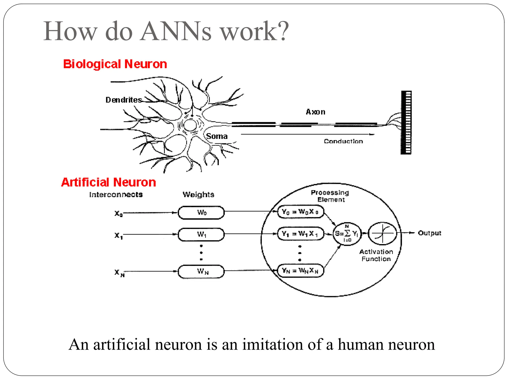 How do ANNs work?
An artificial neuron is an imitation of a human neuron
 