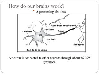How do our brains work?
 A processing element
A neuron is connected to other neurons through about 10,000
synapses
 