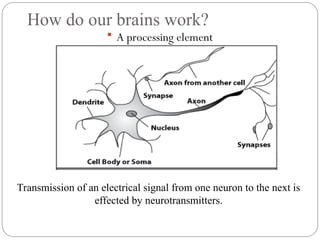 How do our brains work?
 A processing element
Transmission of an electrical signal from one neuron to the next is
effected by neurotransmitters.
 