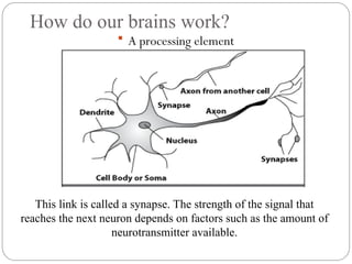 How do our brains work?
 A processing element
This link is called a synapse. The strength of the signal that
reaches the next neuron depends on factors such as the amount of
neurotransmitter available.
 
