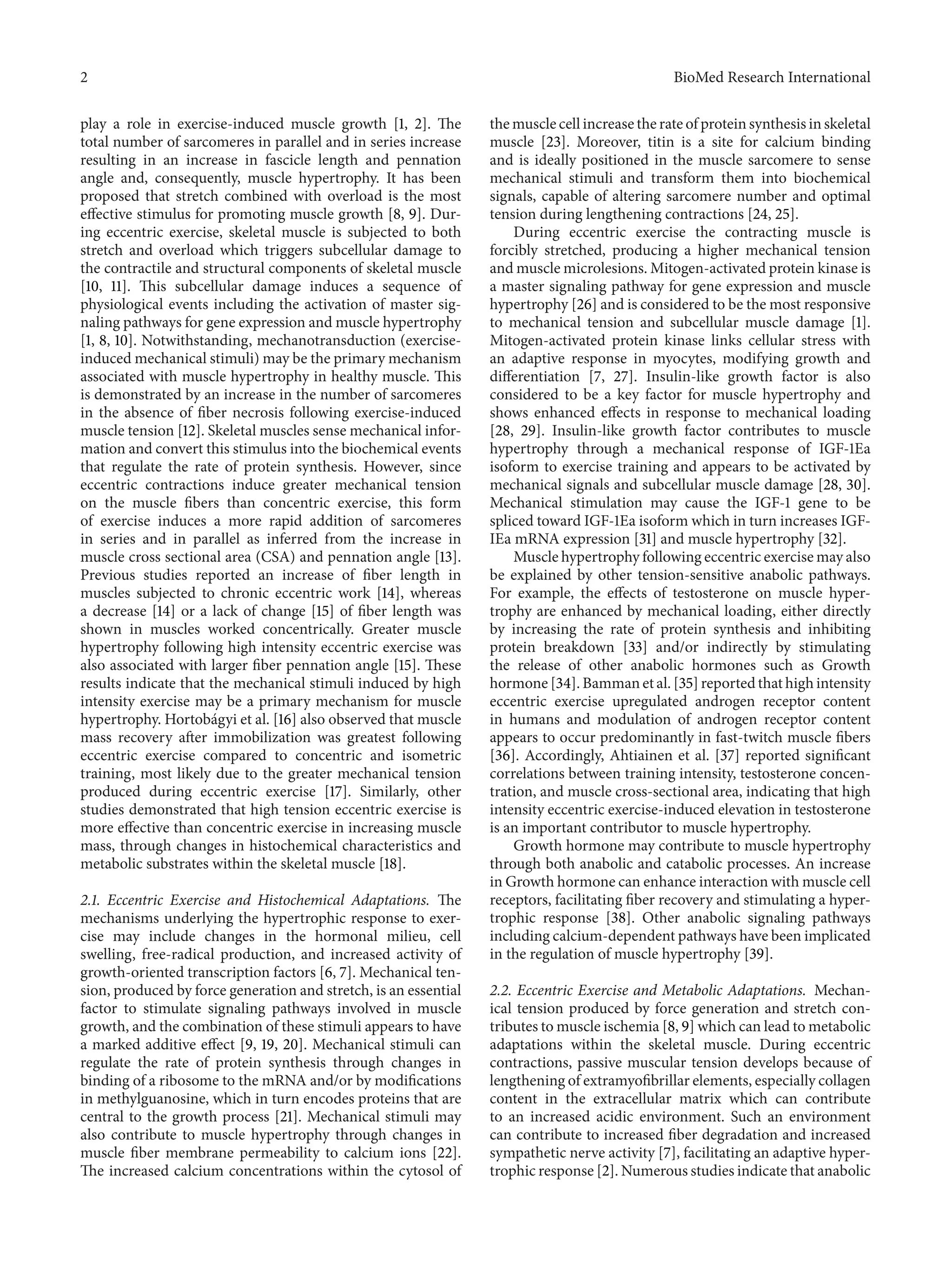Neural adaptation | PDF