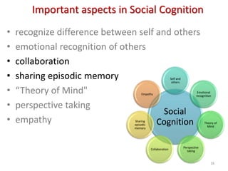 Neural basis of social cognition based on fMRI studies, Yoko Mano | PDF