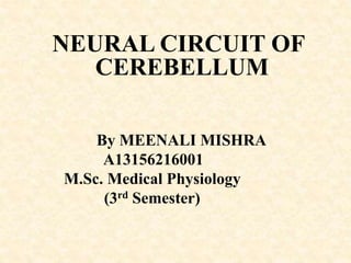 NEURAL CIRCUIT OF
CEREBELLUM
By MEENALI MISHRA
A13156216001
M.Sc. Medical Physiology
(3rd Semester)
 
