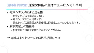 逆発火機能の生体ニューロンでの再現
• 電気シナプスによる逆伝播
– 化学シナプスでは逆流しない。
– 電気シナプスでは逆流する。
– 電気シナプスは海馬と大脳皮質の抑制性ニューロンに存在する。
• 樹状突起上の逆伝播
– 樹状突起では電位変化が逆流することがある。
→ 単純なネットワークでは再現が難しそう
 
