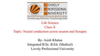 Life Science
Class-X
Topic- Neural conduction across neuron and Synapse
By- Asish Khatua
Integrated B.Sc. B.Ed. (Medical)
Lovely Professional University
 